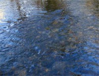 Wasser Wasser