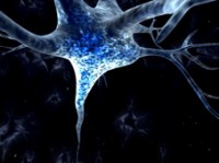 Freuds neurobiologischer Fuß Freuds neurobiologischer Fuß
