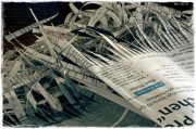 Papierproduktion vernichtet Waldflächen (© BirgitH - Pixelio) Papierproduktion vernichtet Waldflächen (© BirgitH - Pixelio)