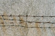 Foltern nach Lehrbuch (© Henning Hraban Ramm / pixelio.de)