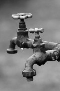 Wem gehört das Wasser, wem gehören unsere Gene? (© Günter Havlena / pixelio.de)