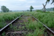 Das deutsche Schienennetz schrumpft weiter (© Viola Wehrhahn - pixelio.de)